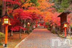 新潟デリヘル熟女の風俗 最終章(ジュクジョノフウゾクサイシュウショウ) りょう(50)の12月4日写メブログ「おはよう久しぶりの出勤」