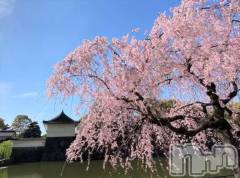 新潟デリヘル熟女の風俗 最終章(ジュクジョノフウゾクサイシュウショウ) りょう(50)の3月26日写メブログ「優しい時間をありがとう🌸」