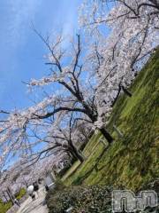 新潟デリヘル熟女の風俗 最終章(ジュクジョノフウゾクサイシュウショウ) りょう(50)の4月6日写メブログ「✨Yちゃんへ💖」