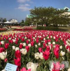 新潟デリヘル熟女の風俗 最終章(ジュクジョノフウゾクサイシュウショウ) りょう(50)の4月20日写メブログ「優しさをありがとう🌷花屋のパパへ」