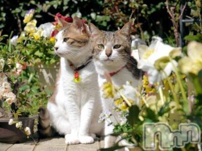 新潟デリヘル 熟女の風俗 最終章(ジュクジョノフウゾクサイシュウショウ) りょう(50)の11月28日写メブログ「【お礼写メ日記】ありがとう再会」