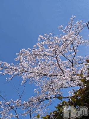 新潟デリヘル 熟女の風俗 最終章(ジュクジョノフウゾクサイシュウショウ) りょう(50)の4月6日写メブログ「🩷Ｔちゃんへありがと」