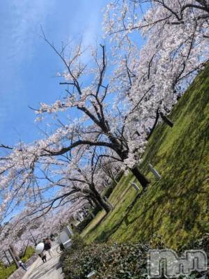 新潟デリヘル 熟女の風俗 最終章(ジュクジョノフウゾクサイシュウショウ) りょう(50)の4月6日写メブログ「✨Yちゃんへ💖」