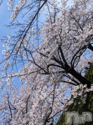 新潟デリヘル 熟女の風俗 最終章(ジュクジョノフウゾクサイシュウショウ) りょう(50)の4月6日写メブログ「✨Sさんへ✨」