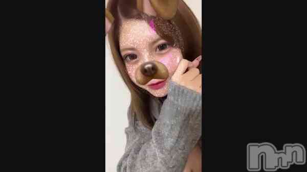 ֤&#x1F436;&#x1F43E;