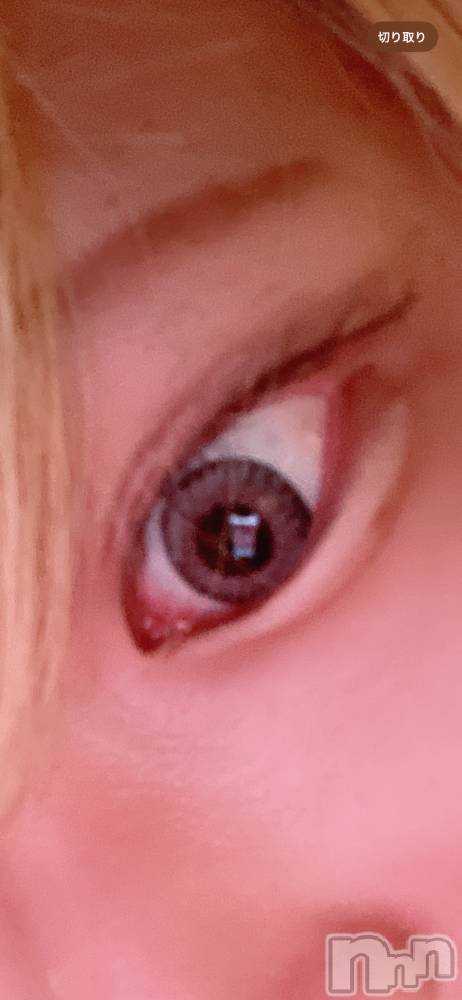 ĮۥȡܡСA151(ݥ) 򥷥816̥֥֥饳