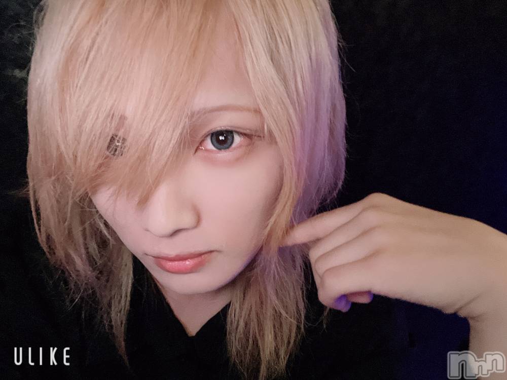 ĮۥȡܡСA151(ݥ) 򥷥1019̥֥1019 1842ʬΥ֥