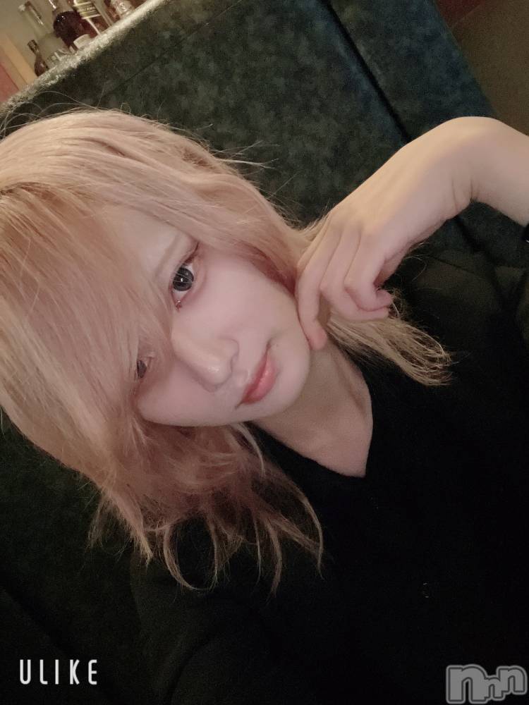 ĮۥȡܡСA151(ݥ) 򥷥1031̥֥֤Ϥ