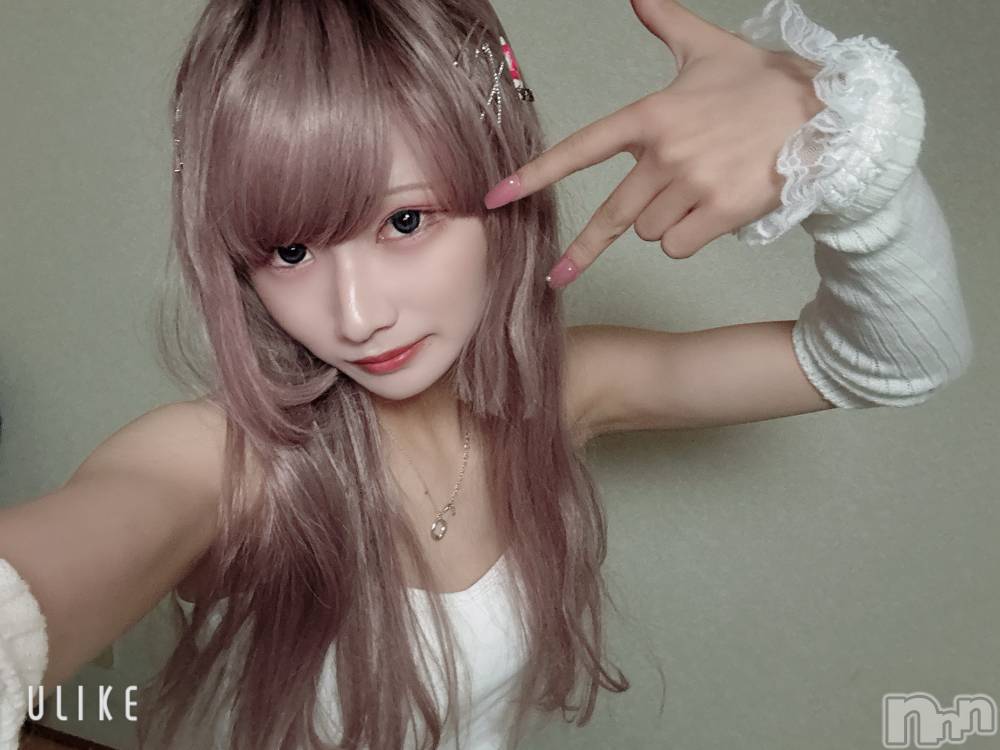 ĮۥȡܡСA151(ݥ) 򥷥111̥֥֤Ǥ