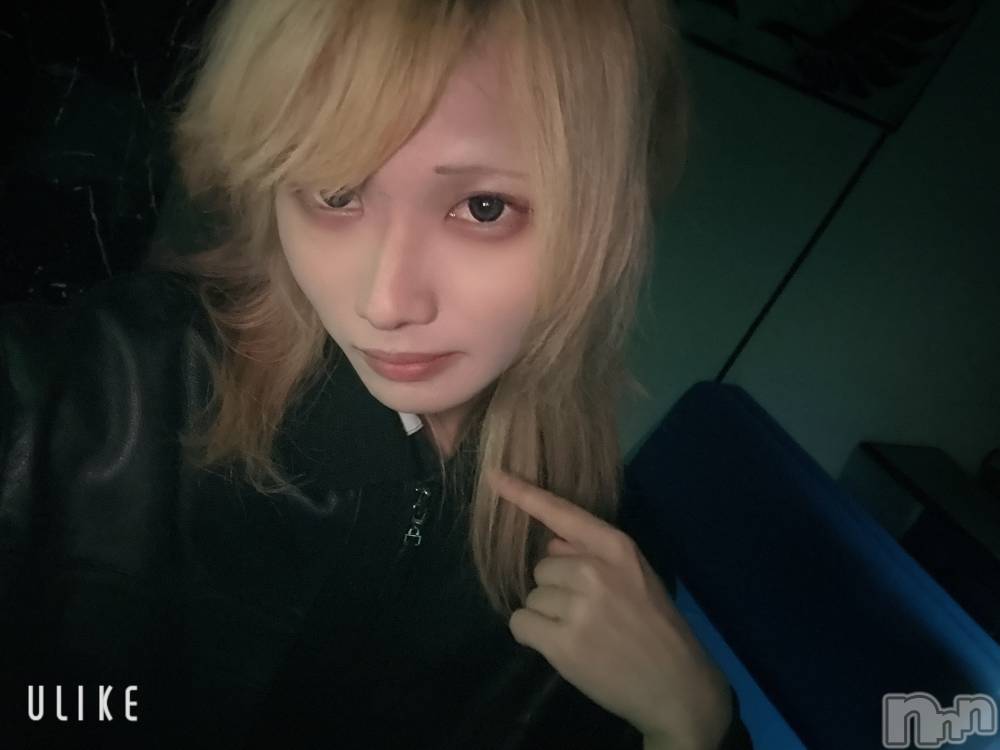 ĮۥȡܡСA151(ݥ) 򥷥1127ֽ̥֥жФ