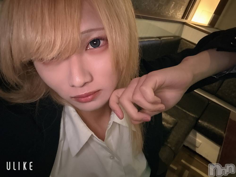 ĮۥȡܡСA151(ݥ) 򥷥1130ֻ̥֥ŻǤǤ