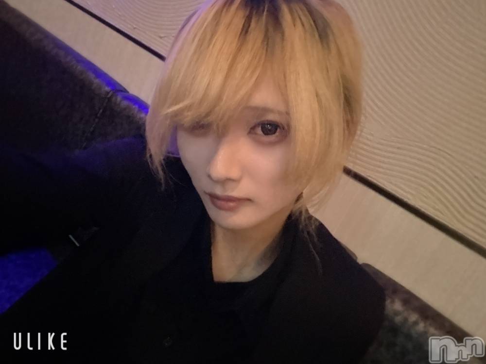 ĮۥȡܡСA151(ݥ) 򥷥126̥֥֥ץľʤ