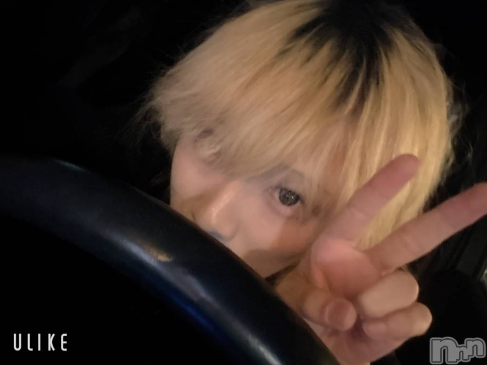 ĮۥȡܡСA151(ݥ) 򥷥127̥֥֤֡