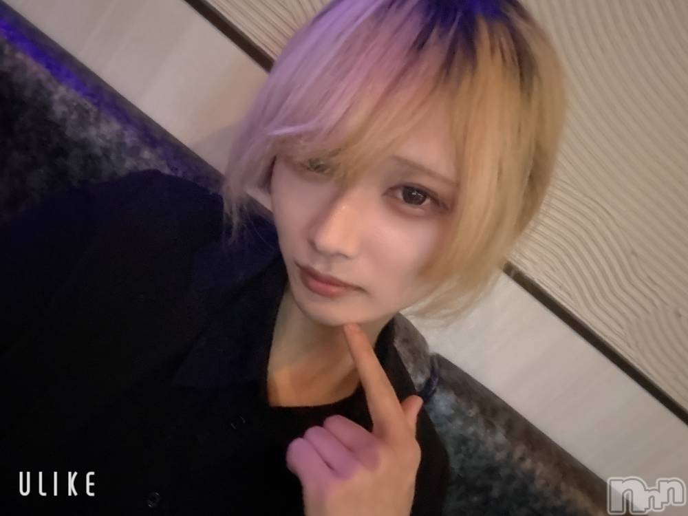 ĮۥȡܡСA151(ݥ) 򥷥1211̥֥֤Ϥ褦