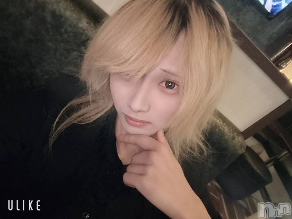 ĮۥȡܡСA151(ݥ) 򥷥1213̥֥֤Ф