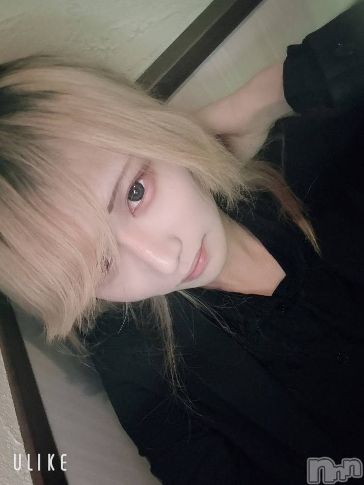 ��Į�ۥ��ȡ��ܡ������С�A151(�����������ݥ���) ��򥷥��12��19���̥�֥����ֽжФ�������