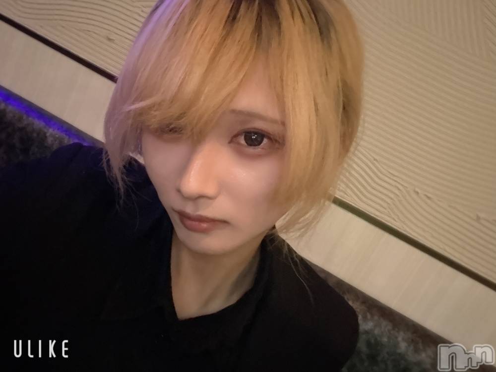 ��Į�ۥ��ȡ��ܡ������С�A151(�����������ݥ���) ��򥷥��12��25���̥�֥����֥ݡ�������