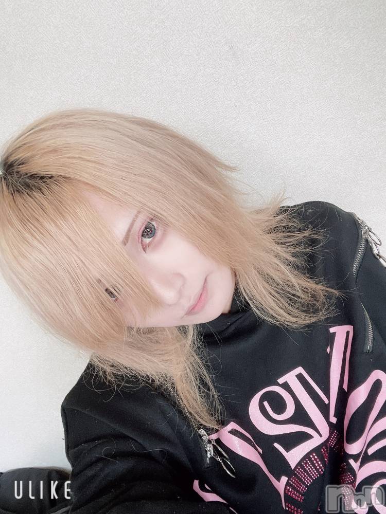 ��Į�ۥ��ȡ��ܡ������С�A151(�����������ݥ���) ��򥷥��12��29���̥�֥�����ǯ���Ǥ������ޤ���