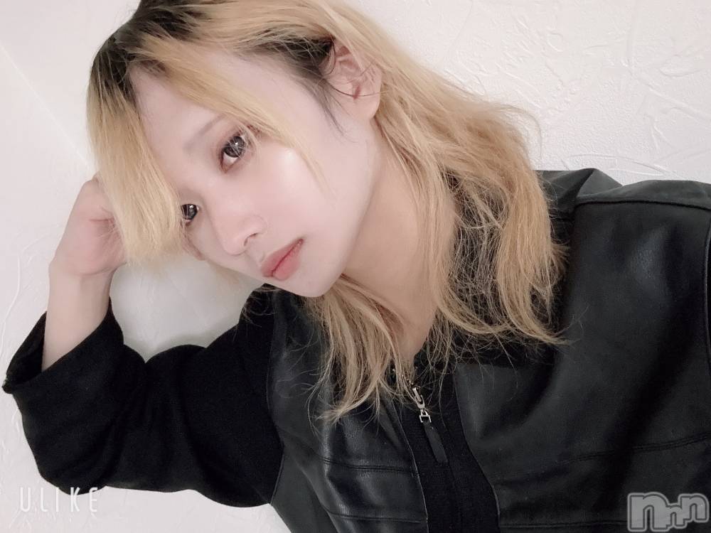 ��Į�ۥ��ȡ��ܡ������С�A151(�����������ݥ���) ��򥷥��1��8���̥�֥����ֽжФ������