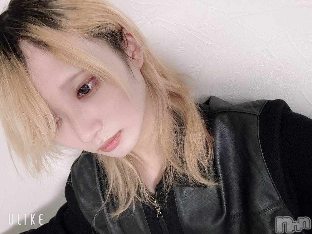 ��Į�ۥ��ȡ��ܡ������С�A151(�����������ݥ���) ��򥷥��1��11���̥�֥�����ȴ���ʤ���