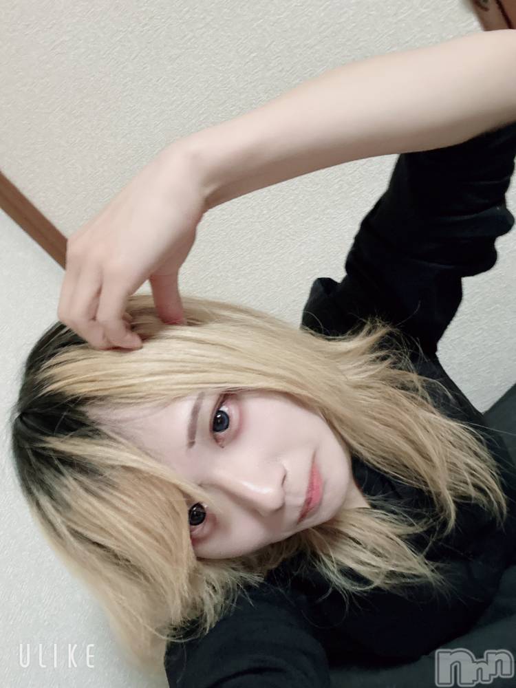 ��Į�ۥ��ȡ��ܡ������С�A151(�����������ݥ���) ��򥷥��1��19���̥�֥����ֽжФ���