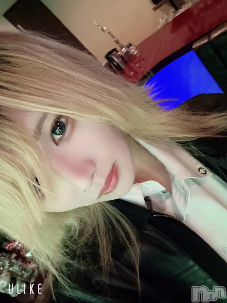 ��Į�ۥ��ȡ��ܡ������С�A151(�����������ݥ���) ��򥷥��1��22���̥�֥���������褦���ʡ�