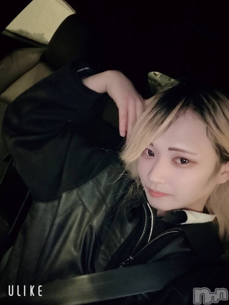 ��Į�ۥ��ȡ��ܡ������С�A151(�����������ݥ���) ��򥷥��1��25���̥�֥���������������