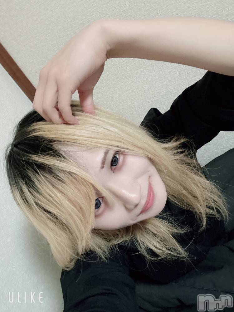 ��Į�ۥ��ȡ��ܡ������С�A151(�����������ݥ���) ��򥷥��2��4���̥�֥����֤���ä������