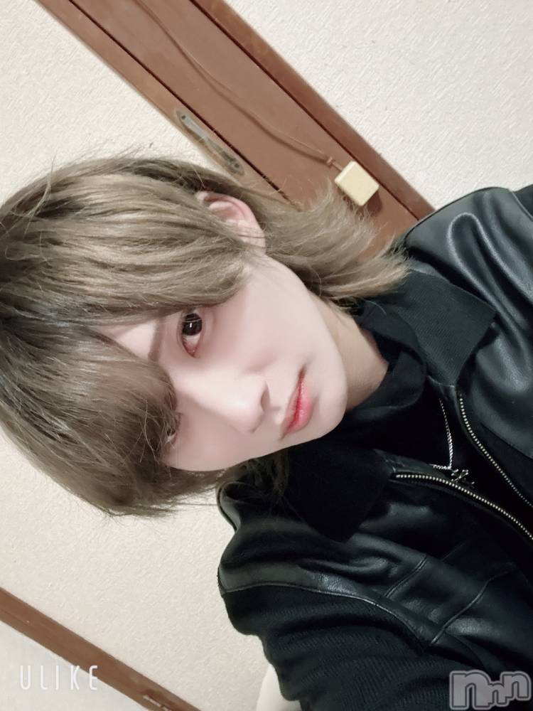 ��Į�ۥ��ȡ��ܡ������С�A151(�����������ݥ���) ��򥷥��3��11���̥�֥����֤ۤ��줤����