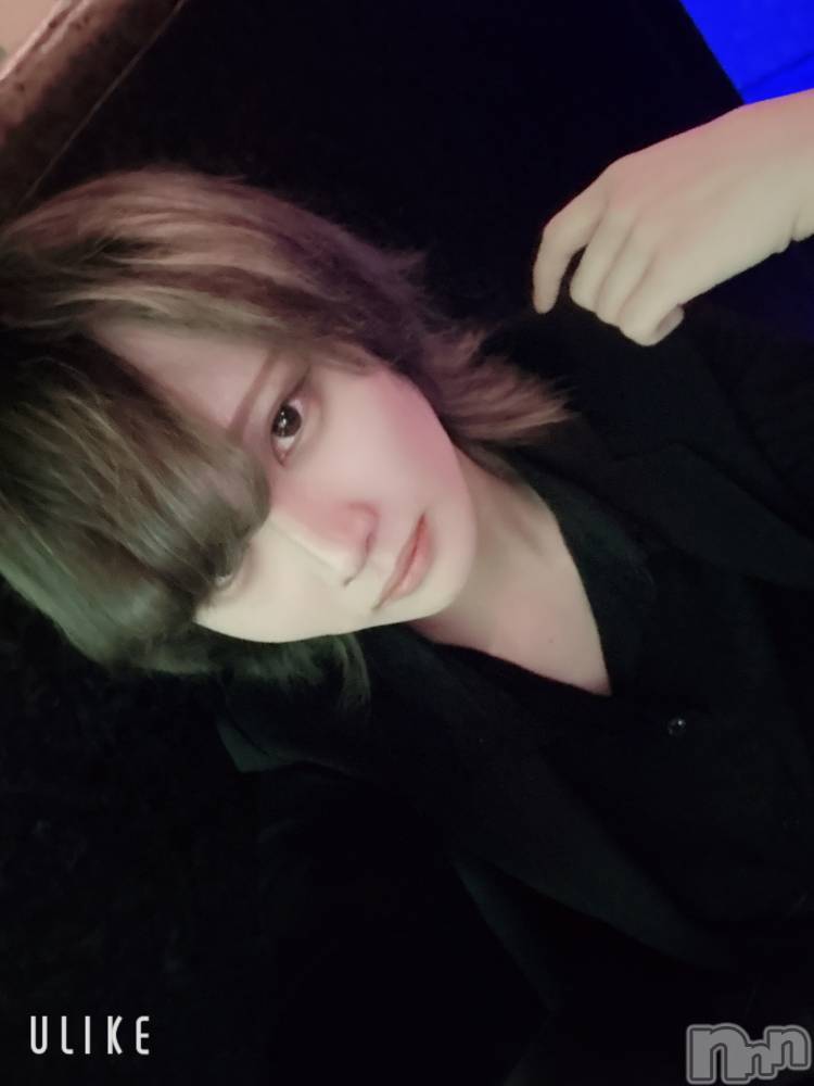 ��Į�ۥ��ȡ��ܡ������С�A151(�����������ݥ���) ��򥷥��3��14���̥�֥����ֽжС�