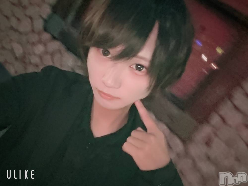 ��Į�ۥ��ȡ��ܡ������С�A151(�����������ݥ���) ��򥷥��9��4���̥�֥����֤���