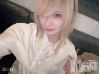 ��Į�ۥ��ȡ��ܡ������С�A151(�����������ݥ���) ��򥷥��1��7���̥�֥����ֻŻ��Ǥ���