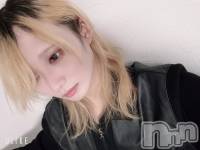 ��Į�ۥ��ȡ��ܡ������С�A151(�����������ݥ���) ��򥷥��1��11���̥�֥�����ȴ���ʤ���