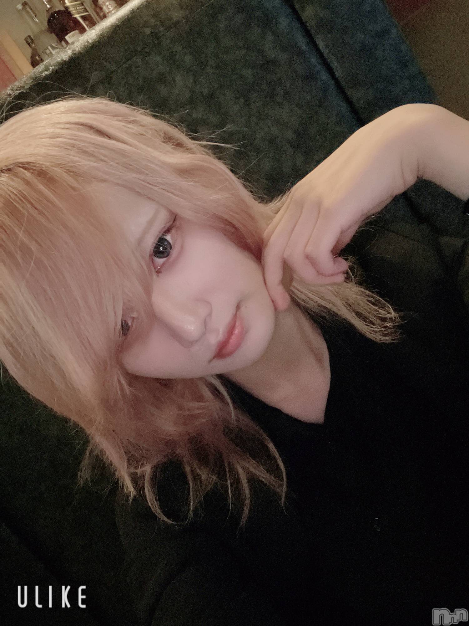 ĮۥȡܡСA151(ݥ) 2025ǯ1031̥֥֤Ϥ