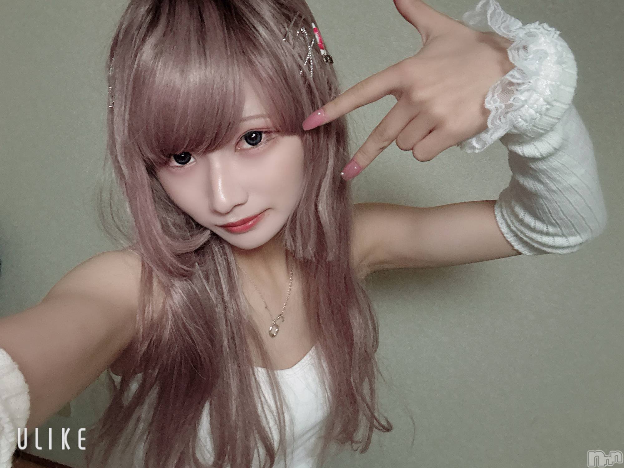 ĮۥȡܡСA151(ݥ) 2025ǯ111̥֥֤Ǥ