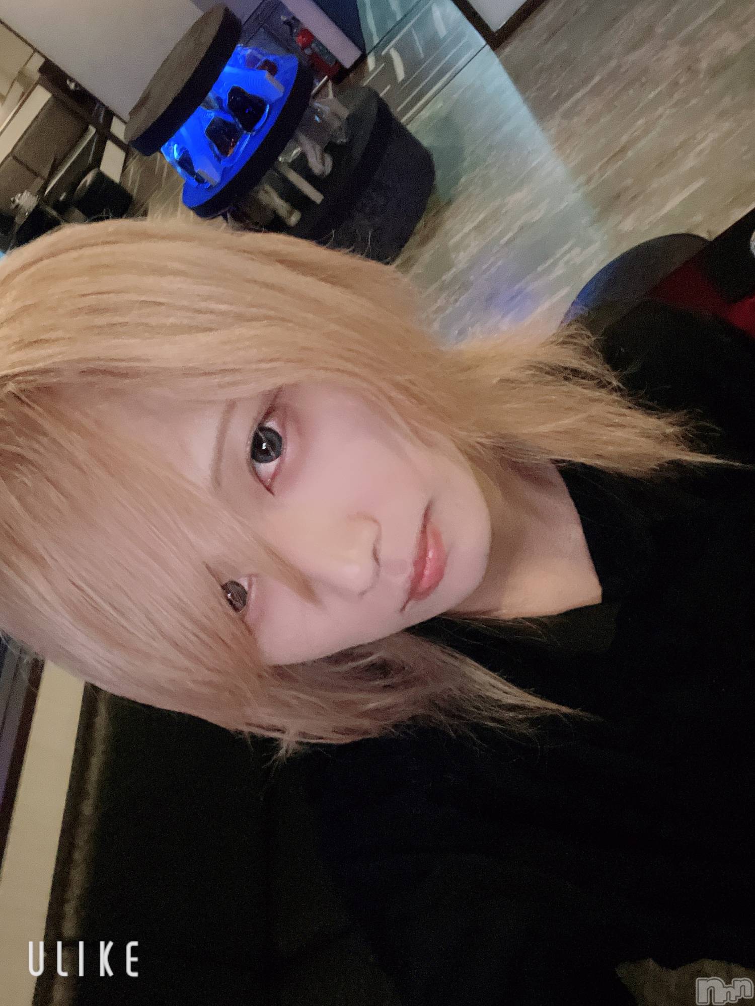 ĮۥȡܡСA151(ݥ) 2025ǯ112ְ̥֥Ǥ