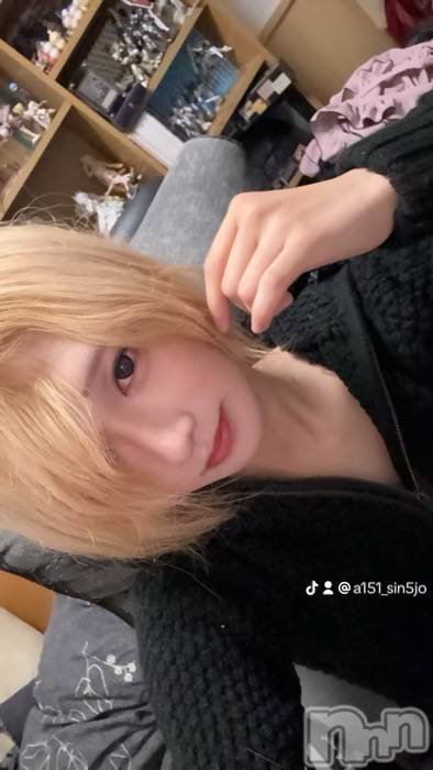 ĮۥȡܡСA151(ݥ) 2025ǯ115ֽ̥֥жФޤ