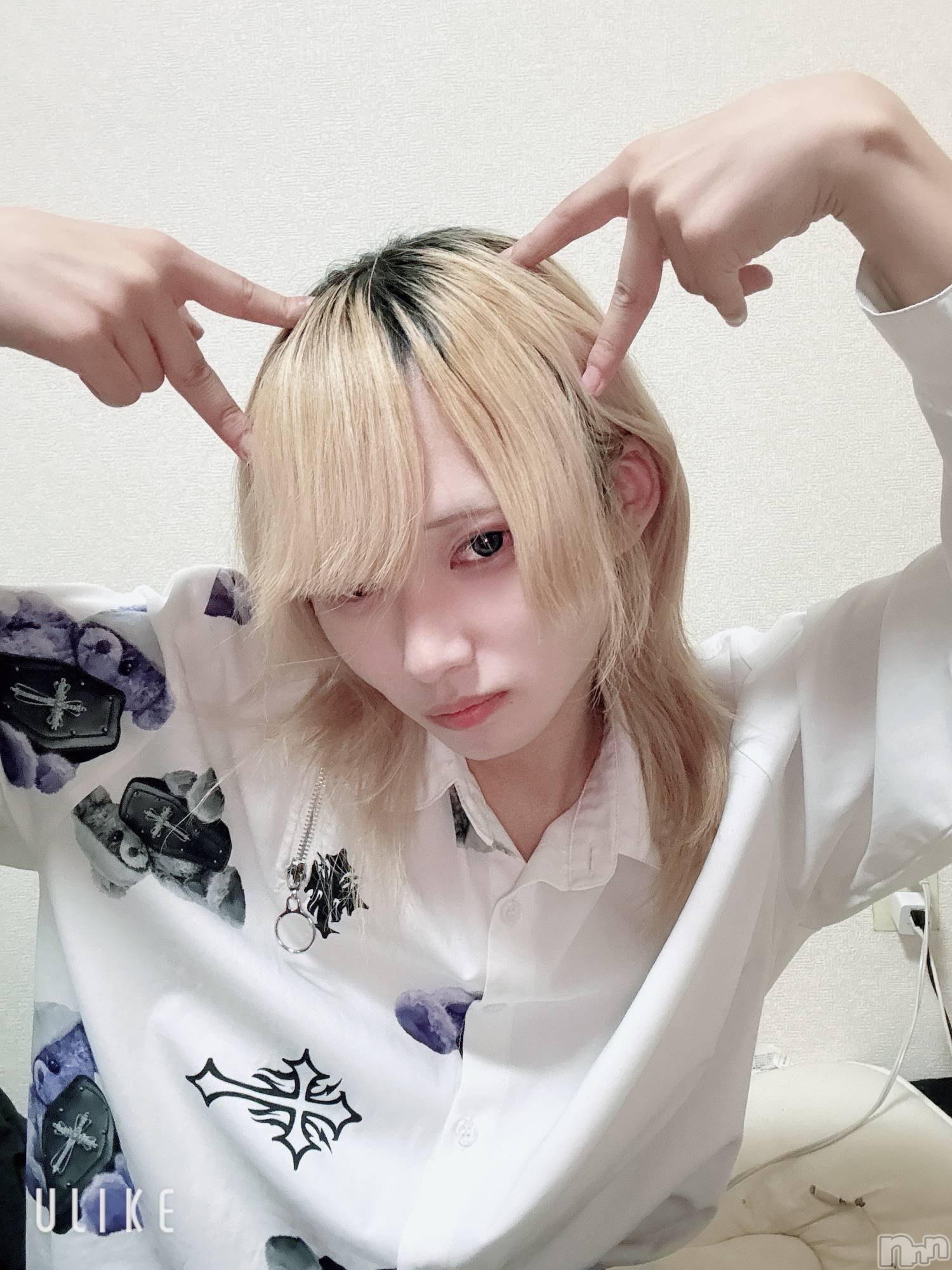 ĮۥȡܡСA151(ݥ) 2025ǯ117̥֥