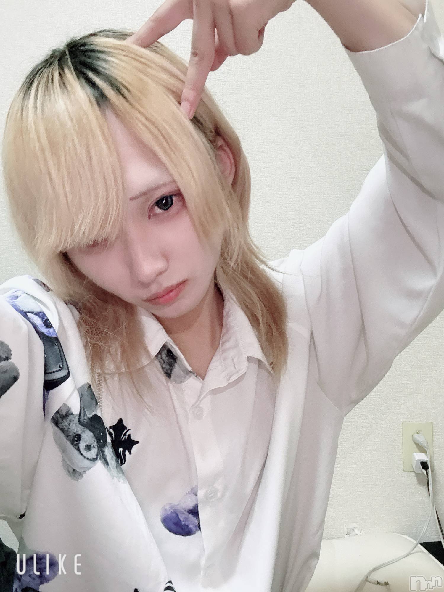 ĮۥȡܡСA151(ݥ) 2025ǯ1113̥֥֤塪