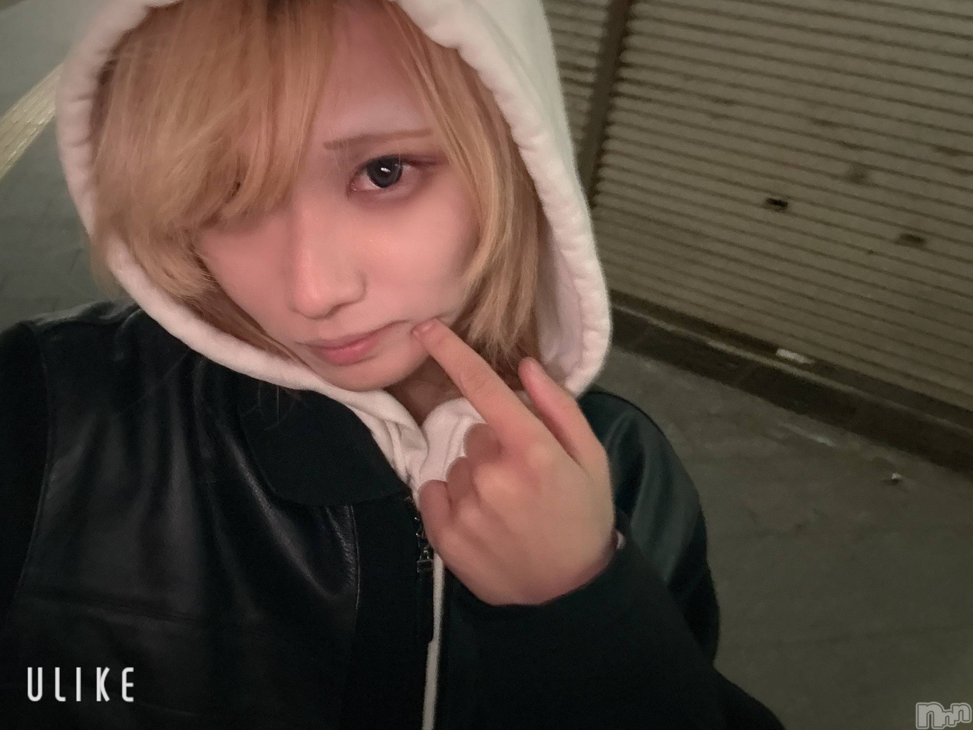 ĮۥȡܡСA151(ݥ) 2025ǯ1119ֿ̥֥ˡ