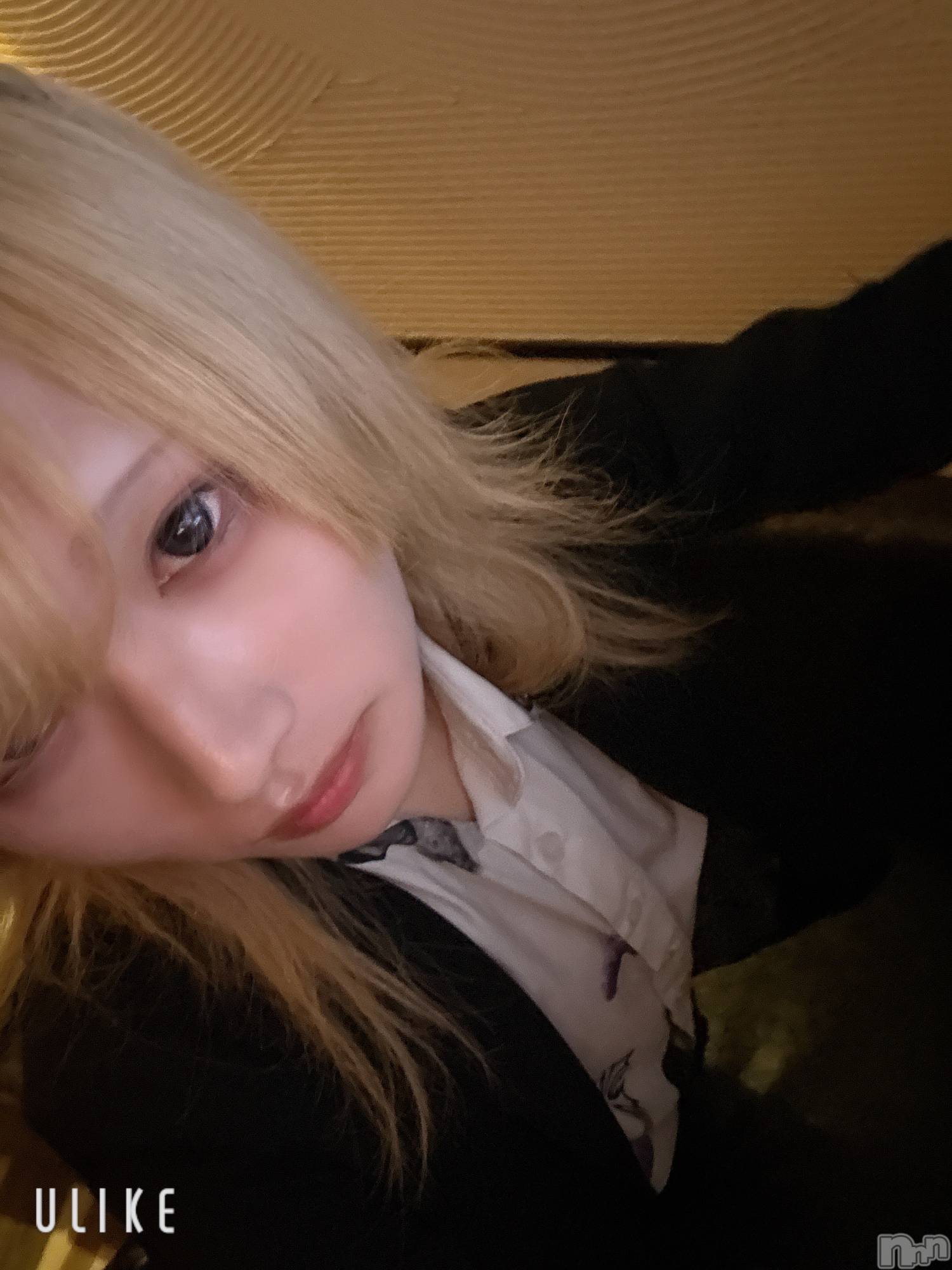 ĮۥȡܡСA151(ݥ) 2025ǯ1121ֽ̥֥жФǤ