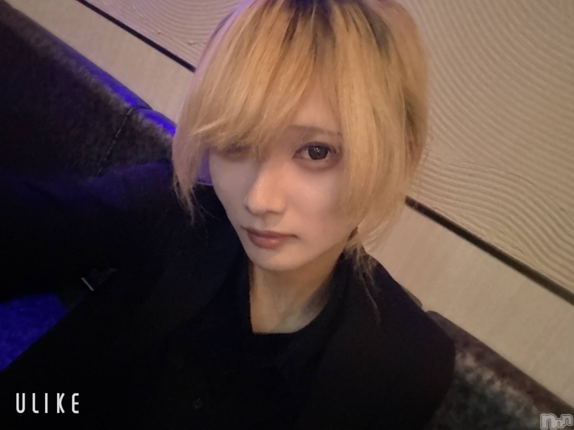 ĮۥȡܡСA151(ݥ) 2025ǯ126̥֥֥ץľʤ