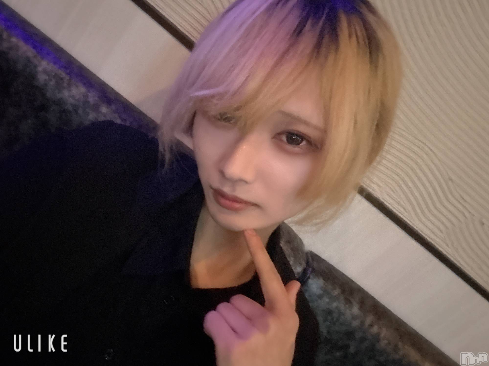 ĮۥȡܡСA151(ݥ) 2025ǯ1211̥֥֤Ϥ褦