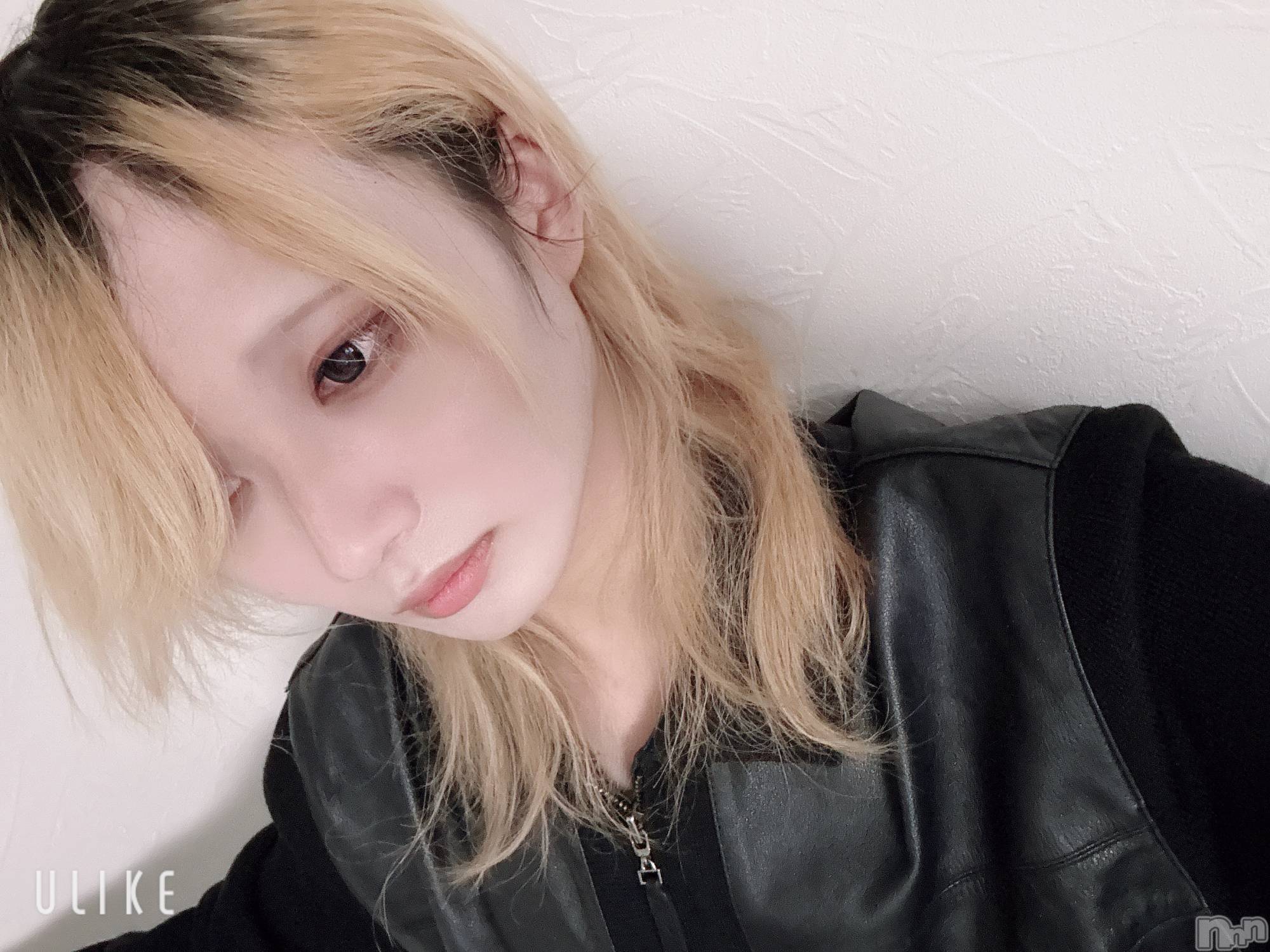 ��Į�ۥ��ȡ��ܡ������С�A151(�����������ݥ���) ��2026ǯ1��11���̥�֥�����ȴ���ʤ���