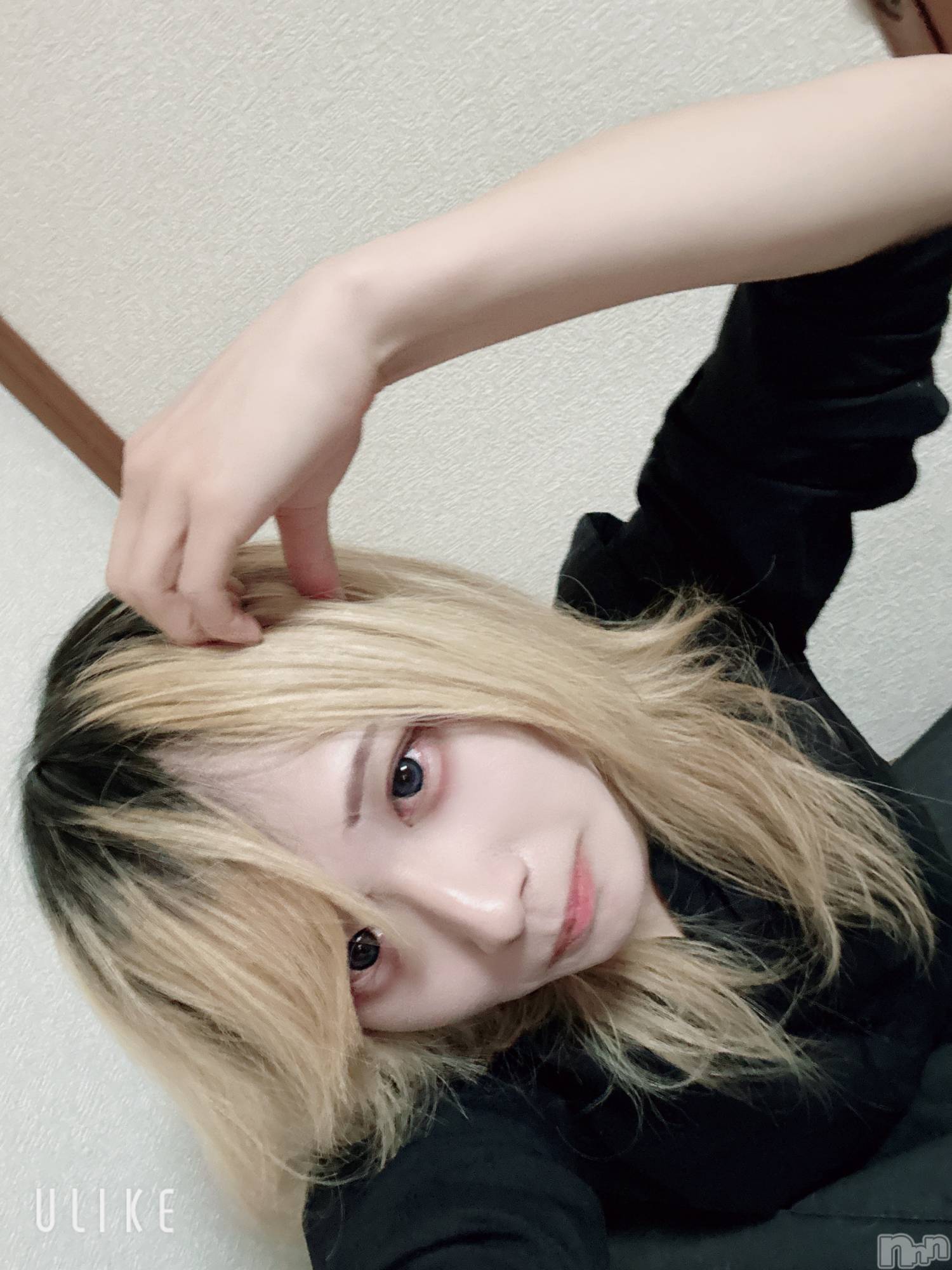 ��Į�ۥ��ȡ��ܡ������С�A151(�����������ݥ���) ��2026ǯ1��19���̥�֥����ֽжФ���