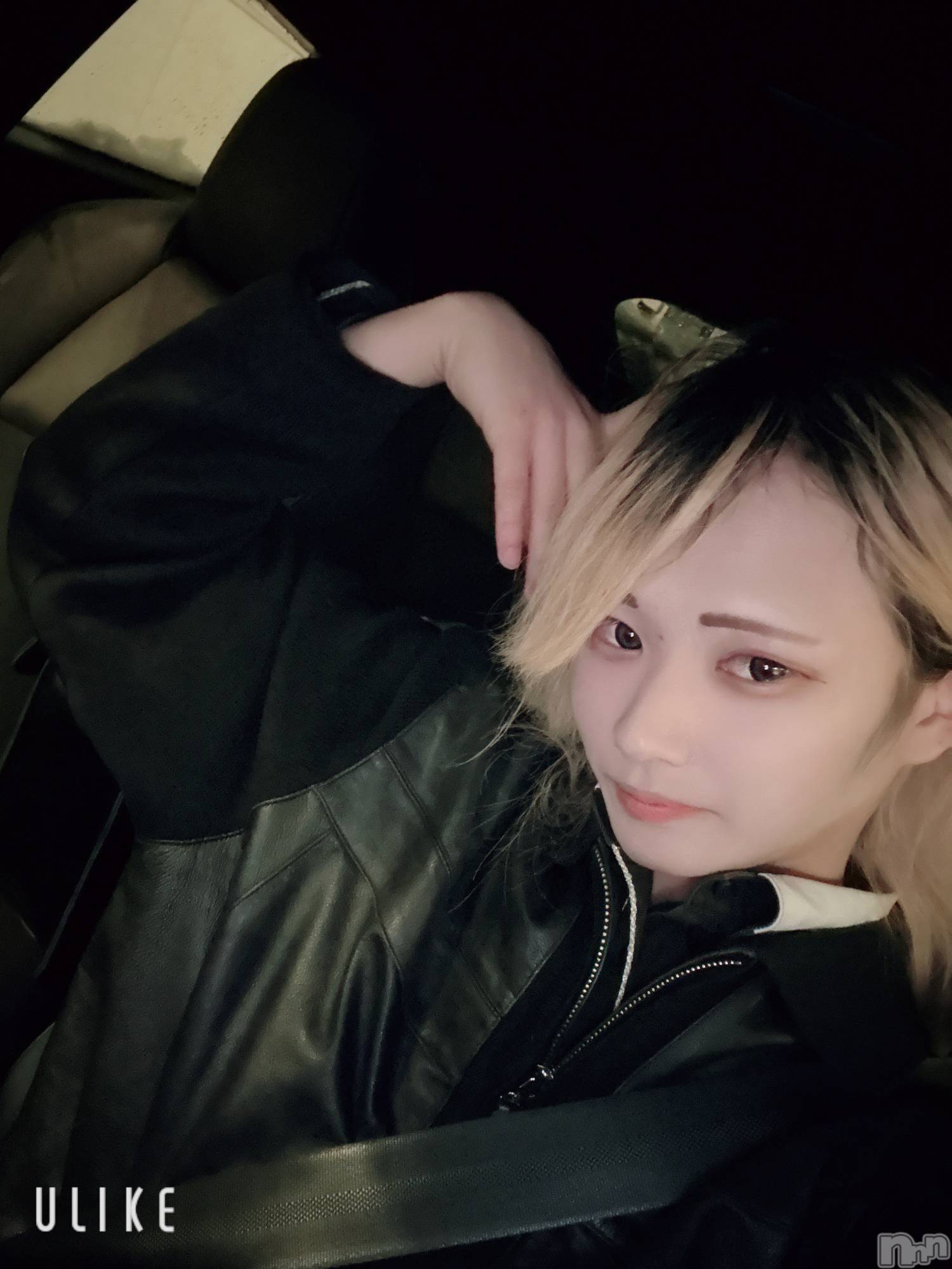 ��Į�ۥ��ȡ��ܡ������С�A151(�����������ݥ���) ��2026ǯ1��25���̥�֥���������������