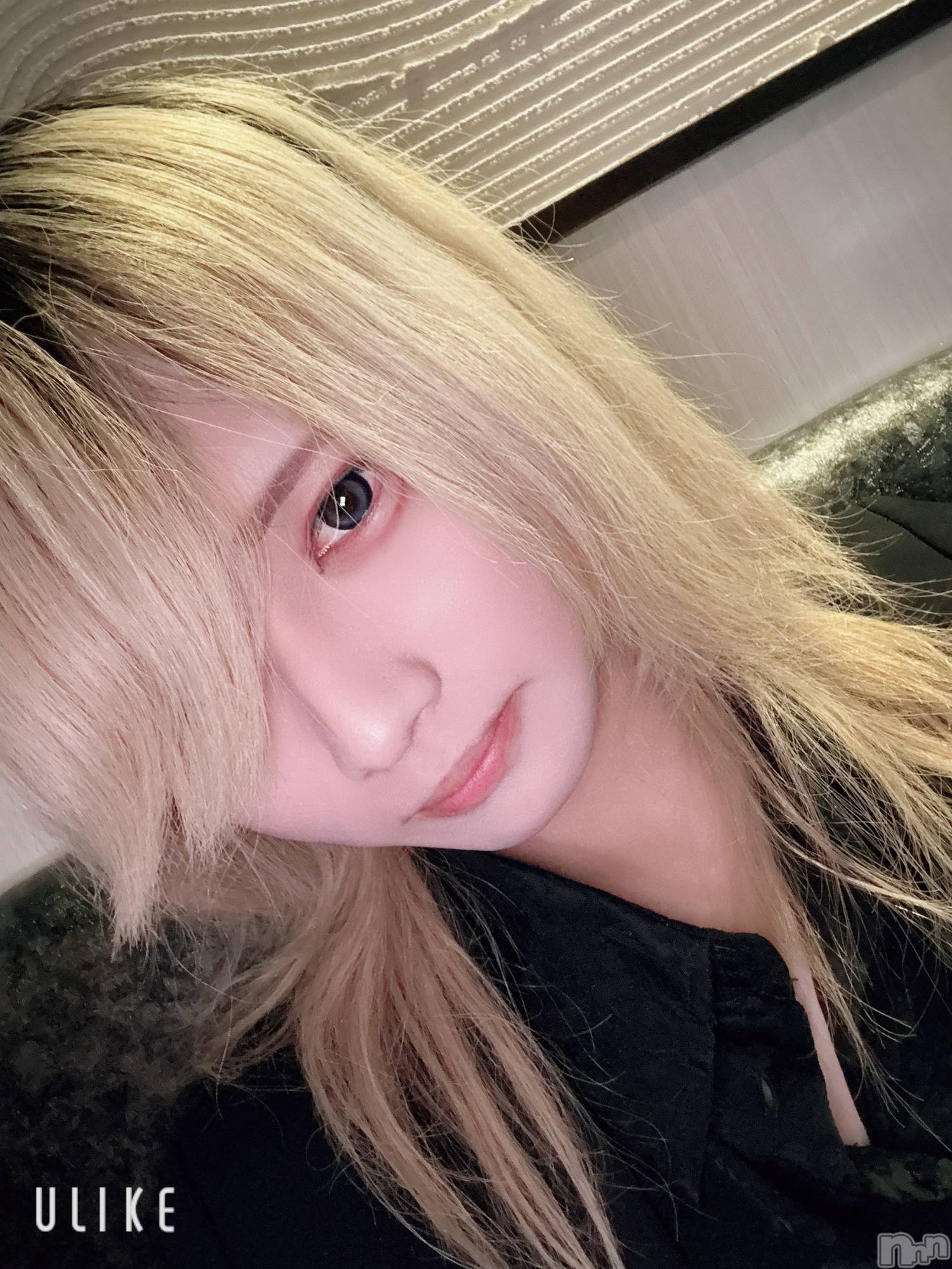 ��Į�ۥ��ȡ��ܡ������С�A151(�����������ݥ���) ��2026ǯ1��29���̥�֥����ֽжФ���