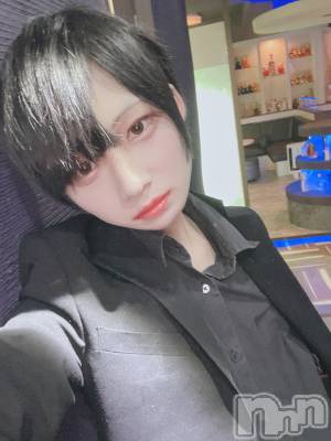 ĮۥȡܡСA151(ݥ) 򥷥219ֽ̥֥жФ䤷񤤤Ƥ󡪡