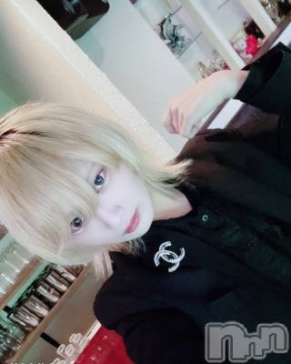 ĮۥȡܡСA151(ݥ) 򥷥322ֽ̥֥жФ