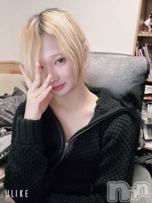 ĮۥȡܡСA151(ݥ) 򥷥1029̥֥ϸ鰦ơ